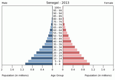 senegal-population-pyramid-2013